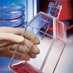 Basic Cell Culture