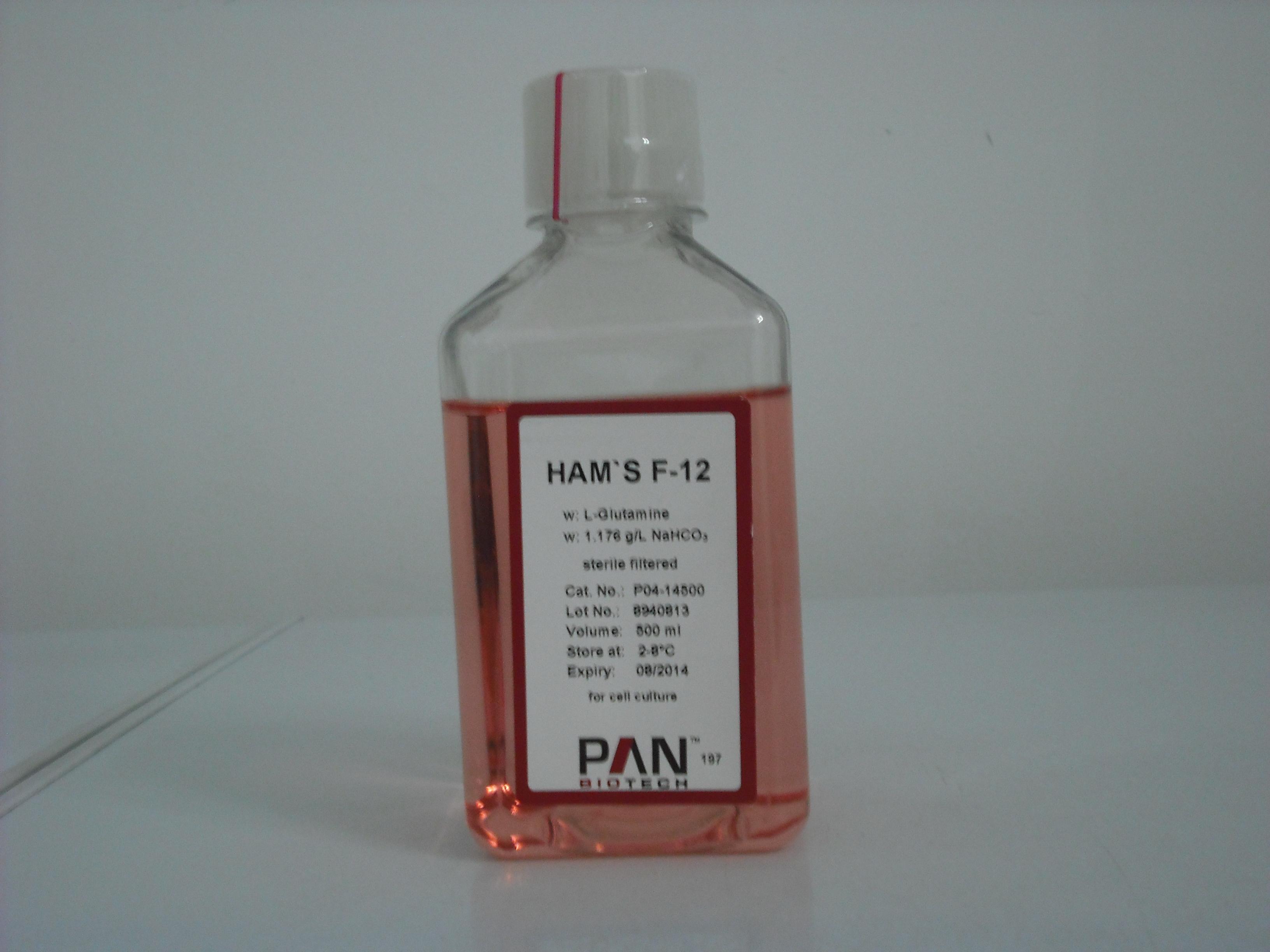 Ham′s F12 培养基